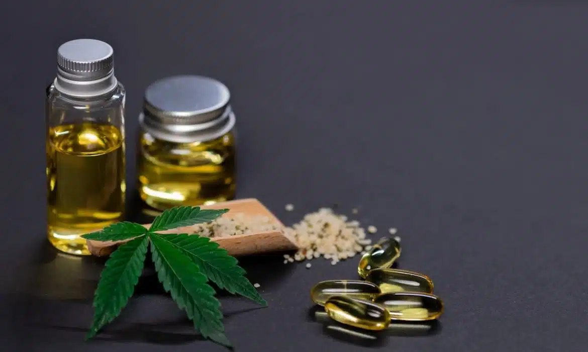 Infusion au CBD pour les animaux de compagnie : une solution naturelle pour leur bien-être