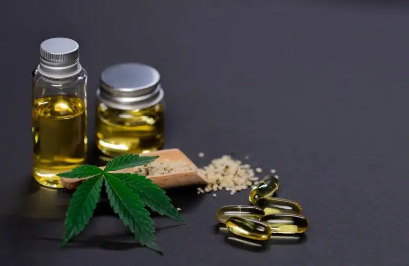 Infusion au CBD pour les animaux de compagnie : une solution naturelle pour leur bien-être