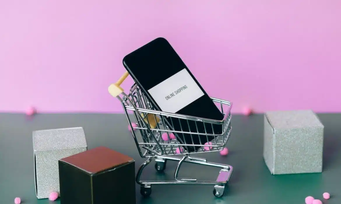 Comment maximiser ses économies grâce aux achats en ligne