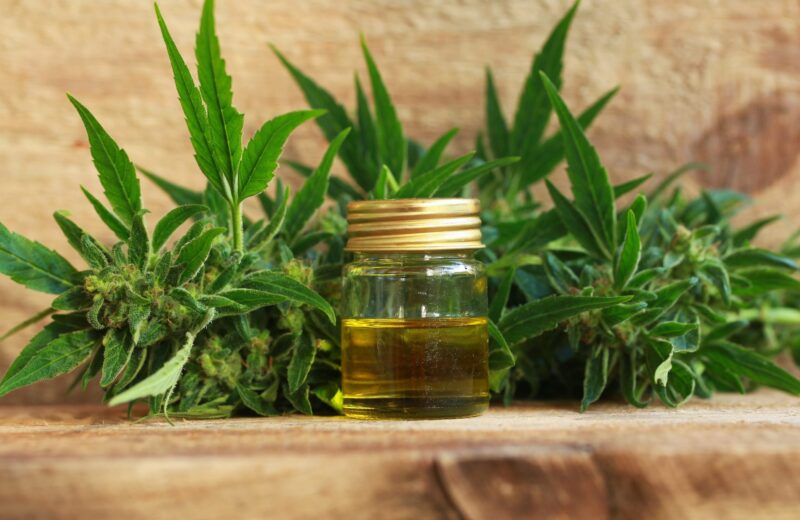 Quel est le meilleur produit CBD ?