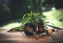 Quel usage pour le CBD ?
