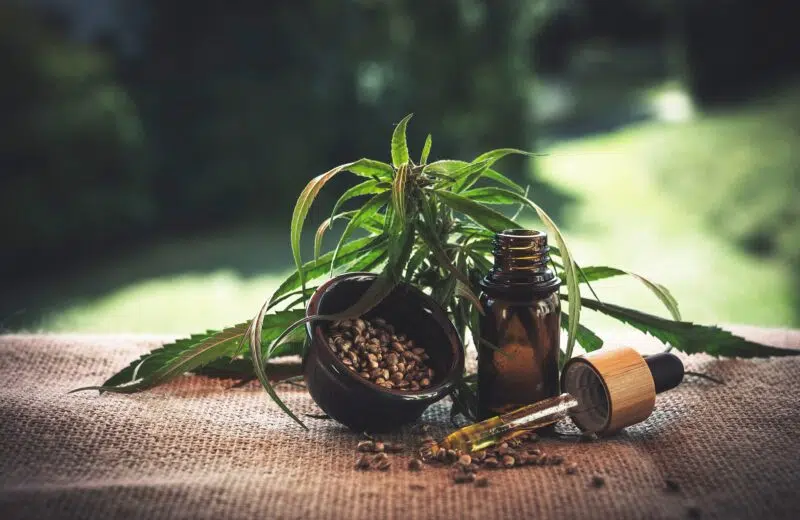 Quel usage pour le CBD ?