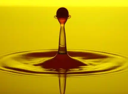 Comment utiliser l’huile de sangsue pour soulager les maux de dos, l’arthrose ou les tendinites ?