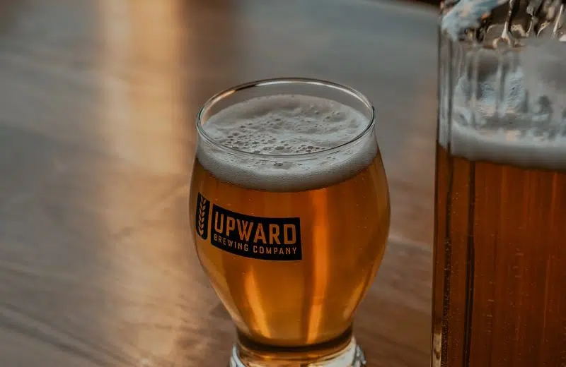 clear drinking glass with beer on brown wooden table