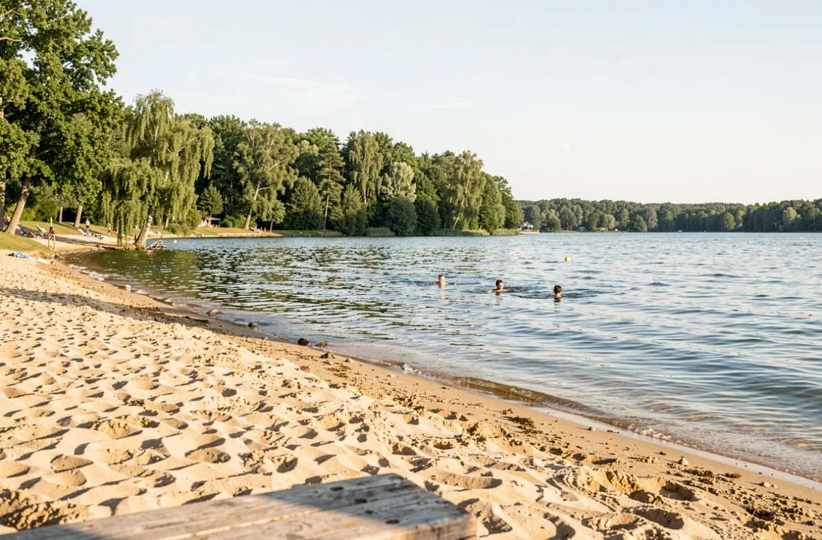 Lac et plage de la base de loisirs de Bois-le-Roi en été