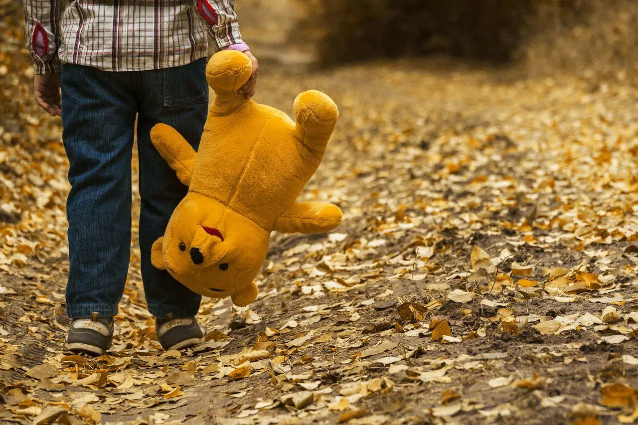 peluche