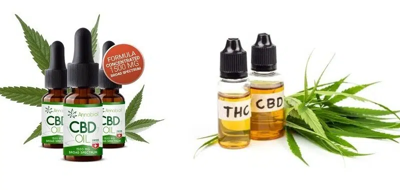 Où peut on trouver du CBD ?