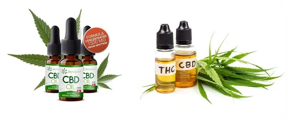 Où peut on trouver du CBD ?