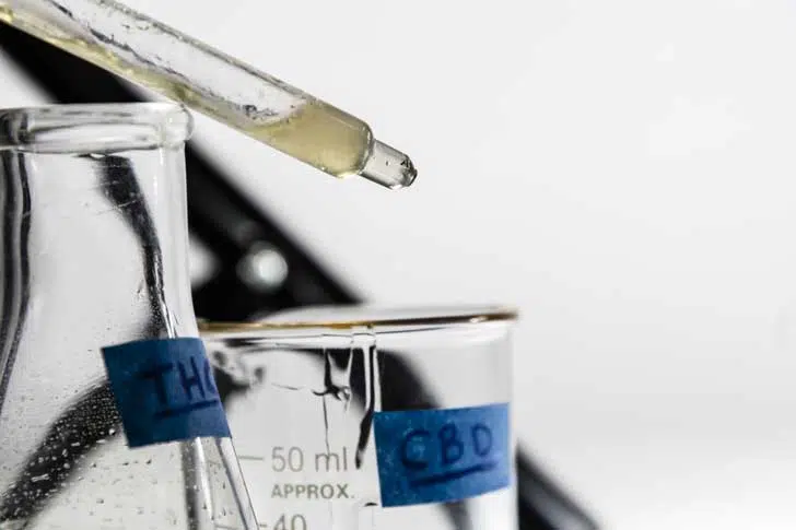 Quelle est la différence entre le CBD et le THC ?