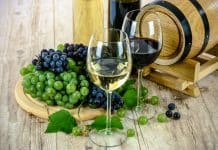 Comment Giulia Negri s’est imposée dans le monde du vin rouge