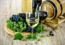 Comment Giulia Negri s’est imposée dans le monde du vin rouge